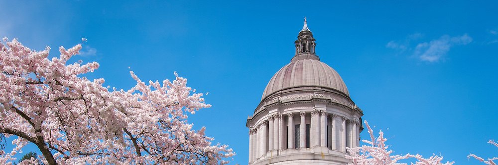 Cyrus Habib, S.J. banner