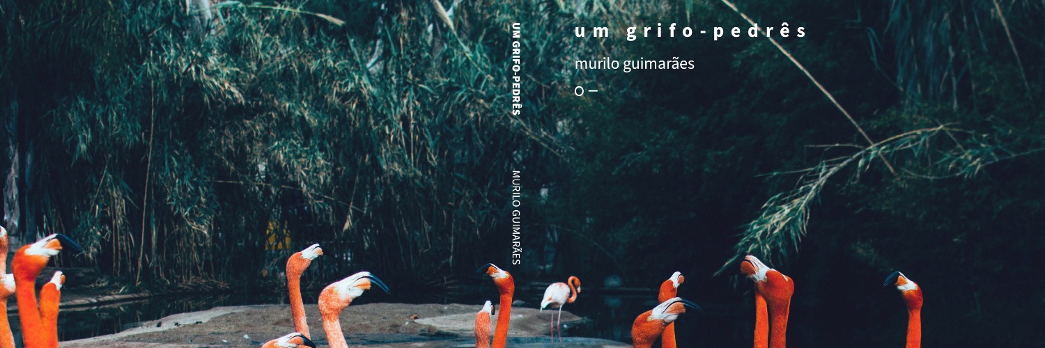 Murilo banner