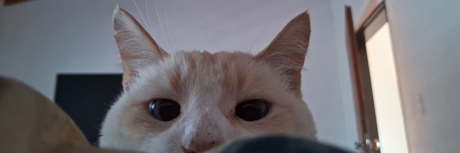 roacosta__'s profile banner image