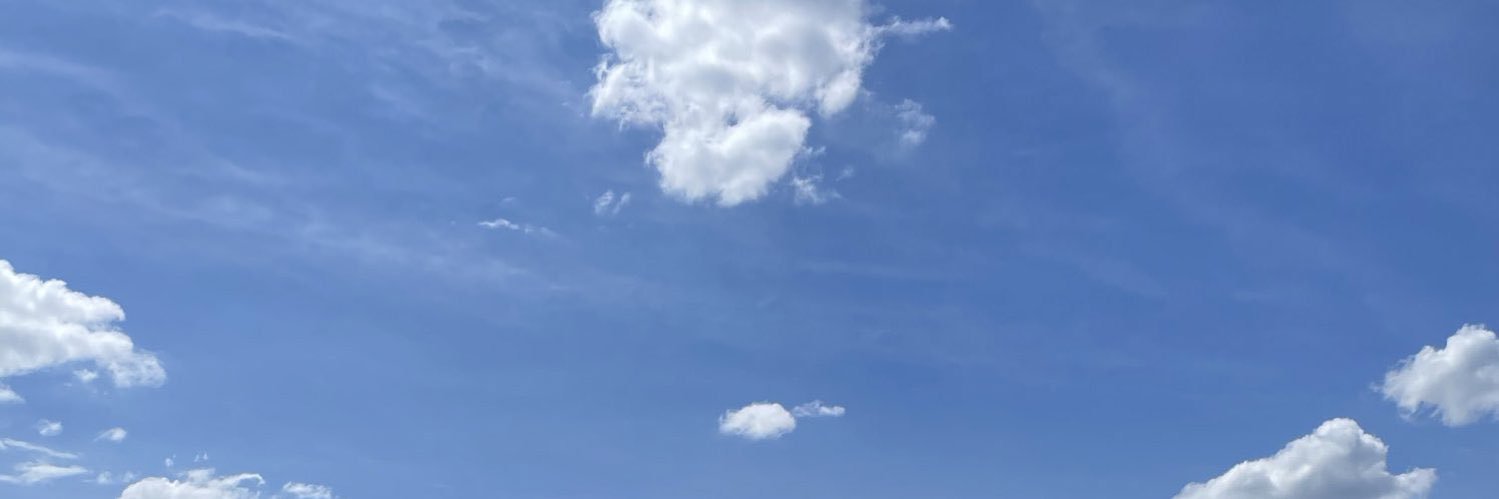 shanksloyal's profile banner image