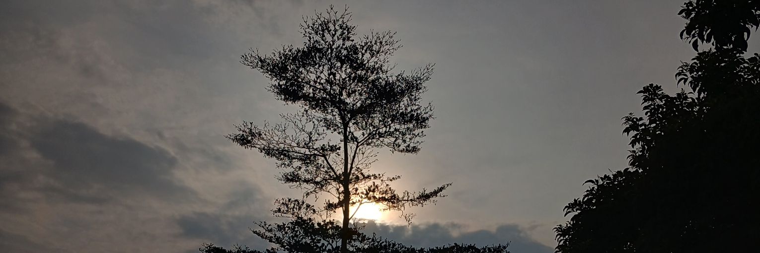 RamdaniAldi's profile banner image