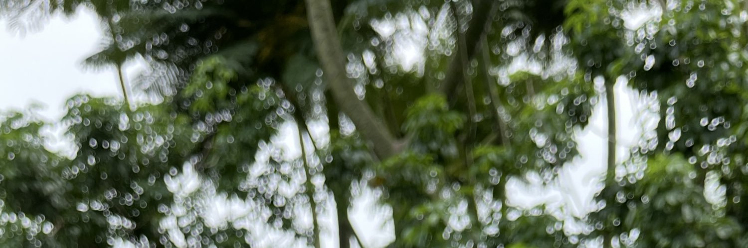 redakaa's profile banner image