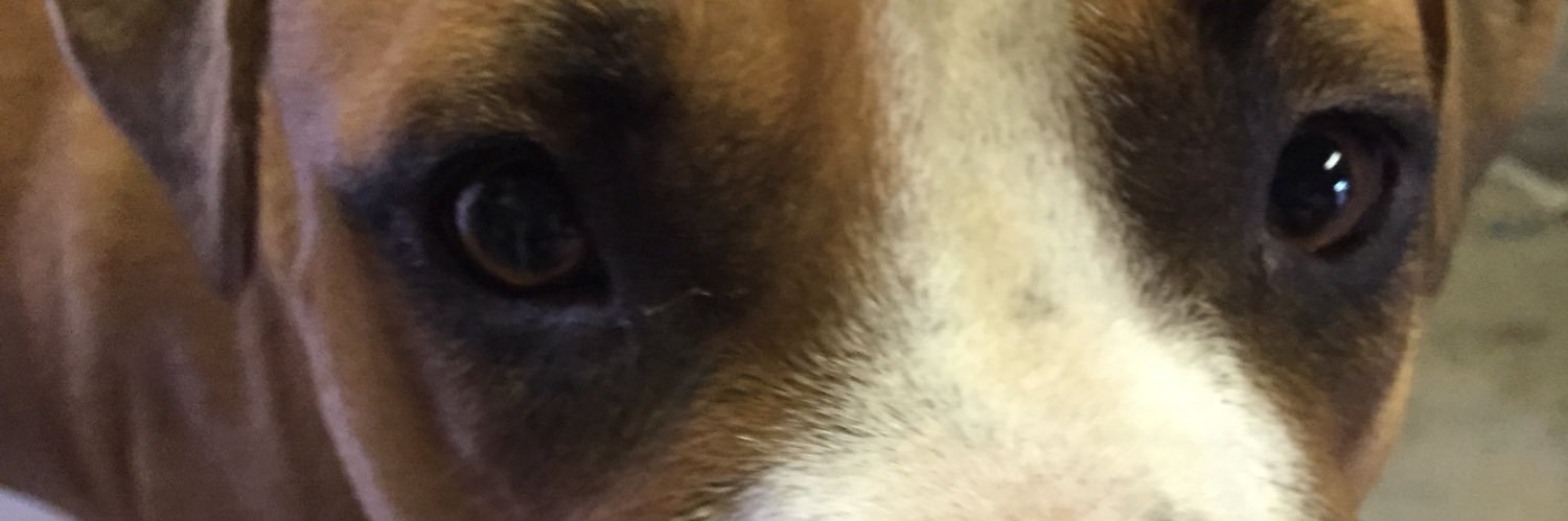 mawmy's profile banner image