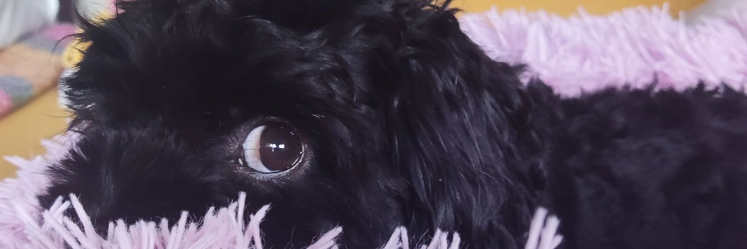 josh👽🐝 ~ 👋Bitsummit banner