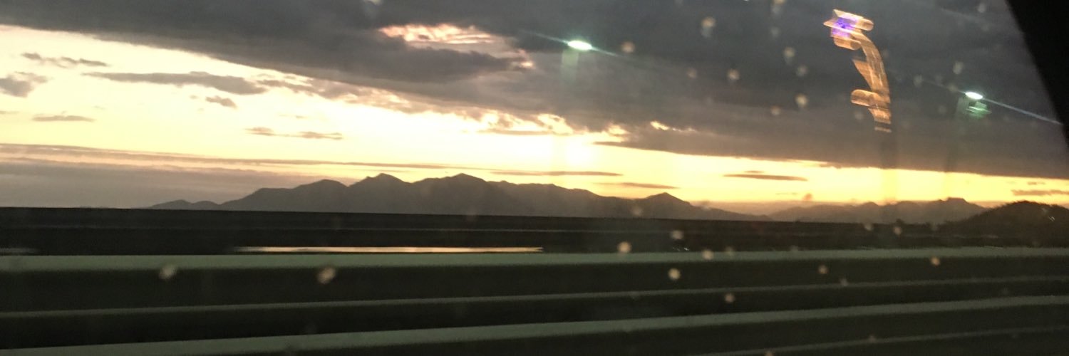 drapischinki's profile banner image