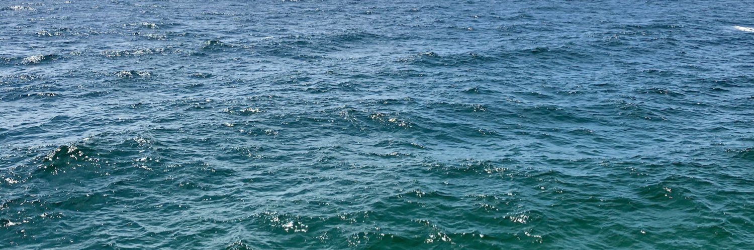 MeaaaaganS's profile banner image
