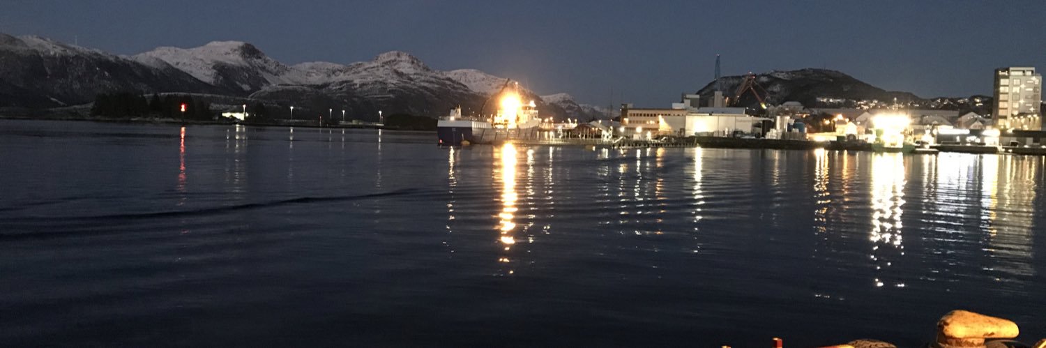 bashan land ( kamal shaalan) banner