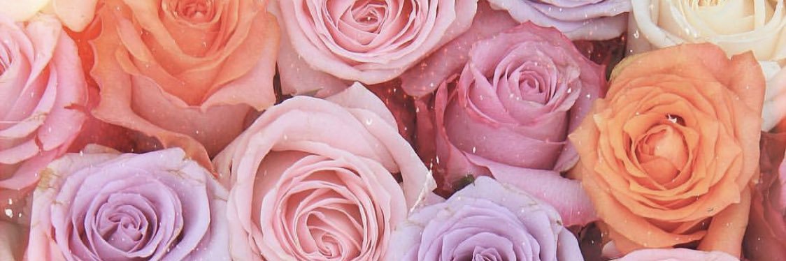 emmwags's profile banner image
