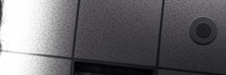 twlinsn's profile banner image
