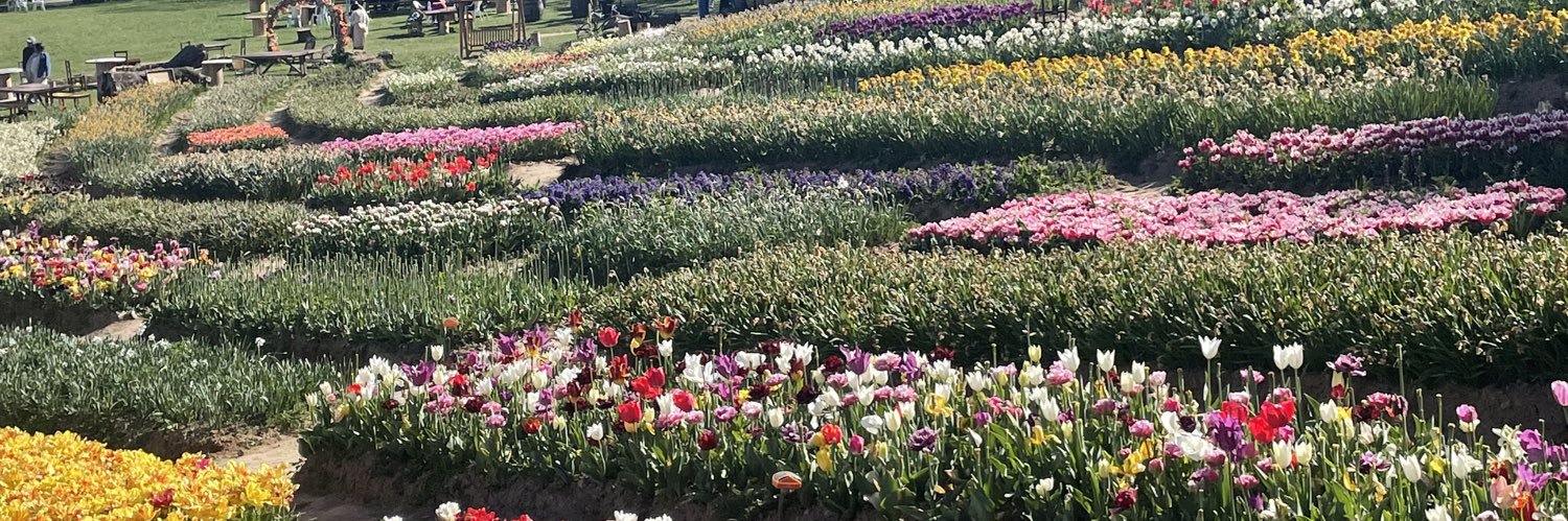 pinkfloow's profile banner image