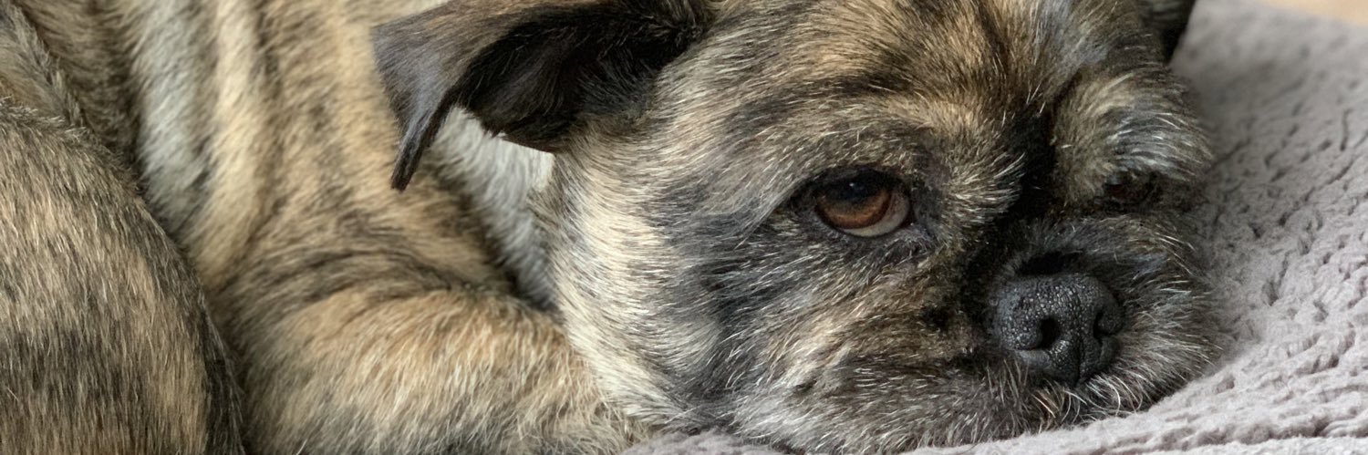 RebeccaHartling's profile banner image