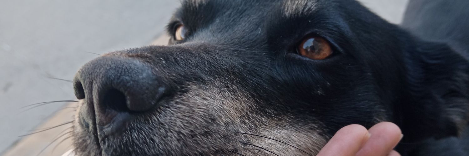 Montesdeoca83's profile banner image