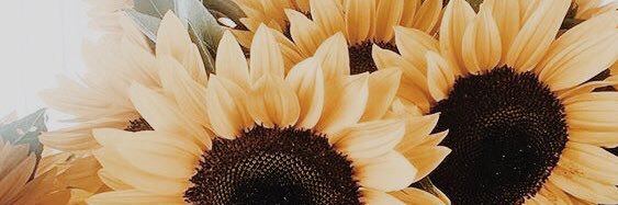 HayliHayli's profile banner image