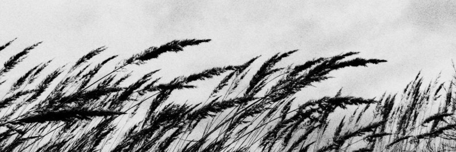 _nakinaminoshi's profile banner image