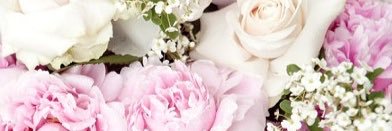 Themment's profile banner image