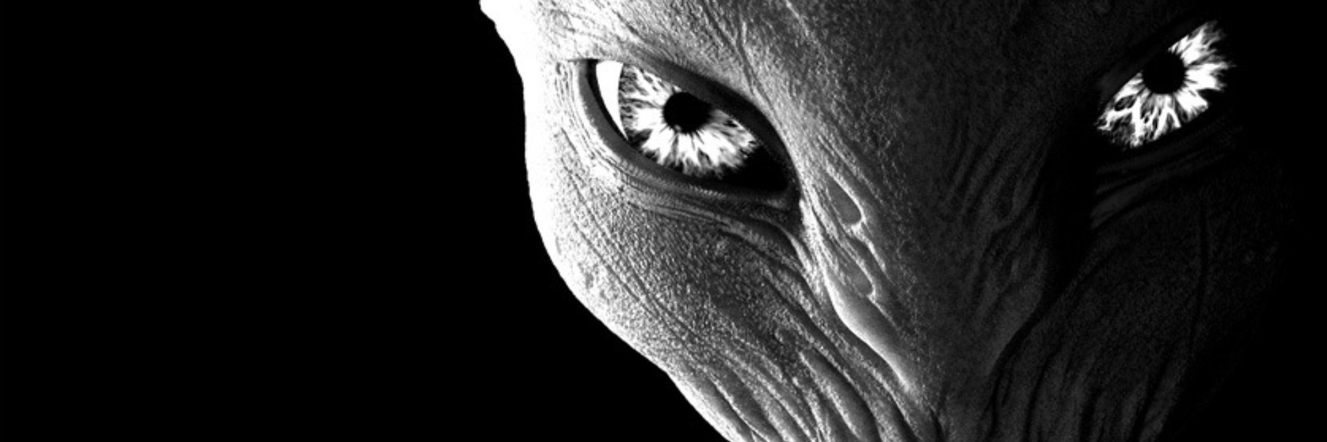 BigRakaDoc's profile banner image