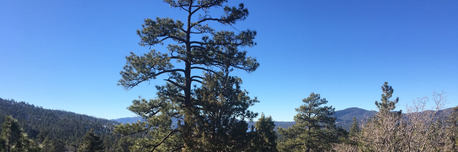 John the PATRIOT banner