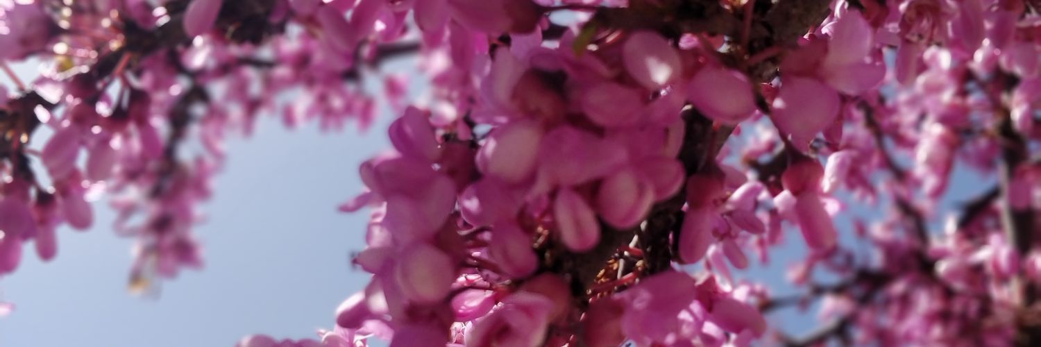 yudits's profile banner image