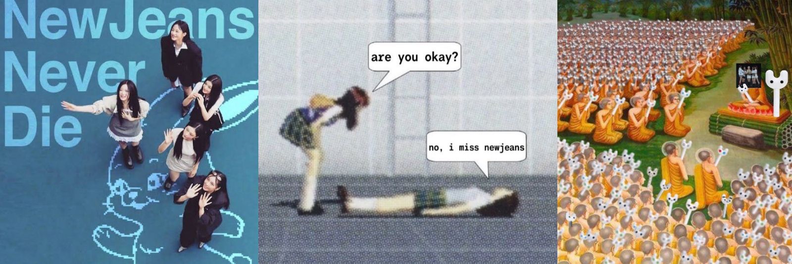 lll ɲơƒ '🔥🌱 (R7in🌧) banner