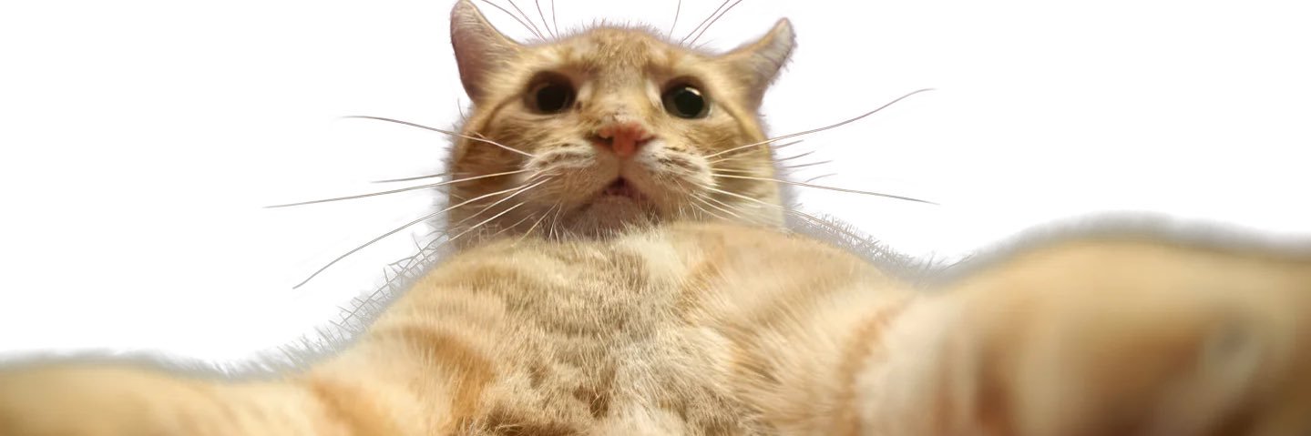 BlickWert's profile banner image