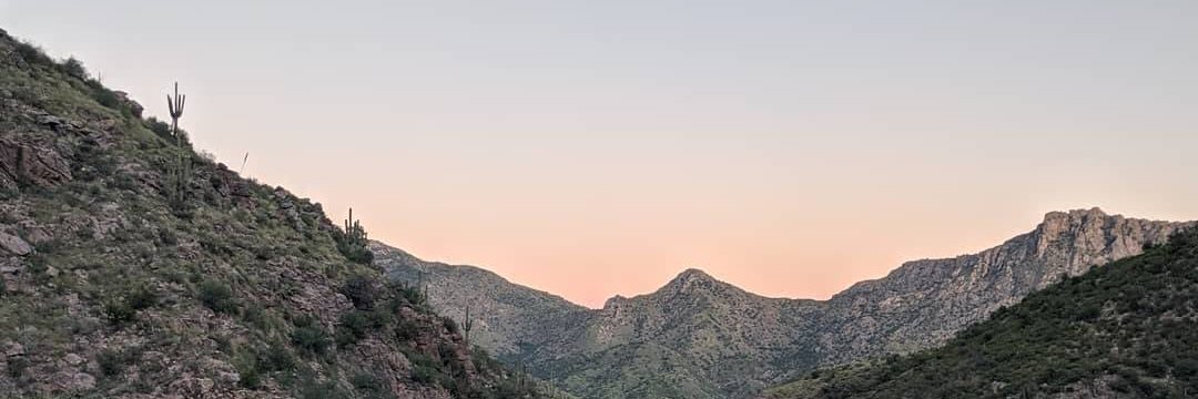 woods 🚲⛰️🌵🚚❄️ banner