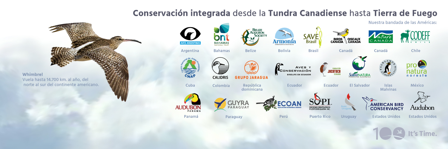 BirdLife Americas banner