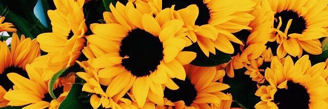 Jazive_RV's profile banner image
