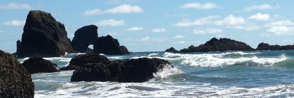 DebCohenPhD Profile Banner