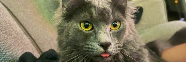 DuarteSammy's profile banner image