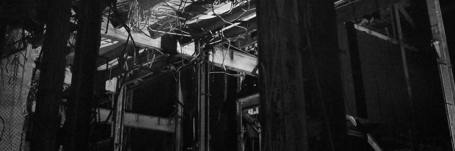 伍美珍 banner