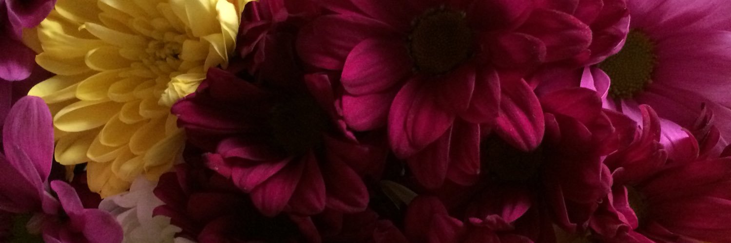 bardina96's profile banner image