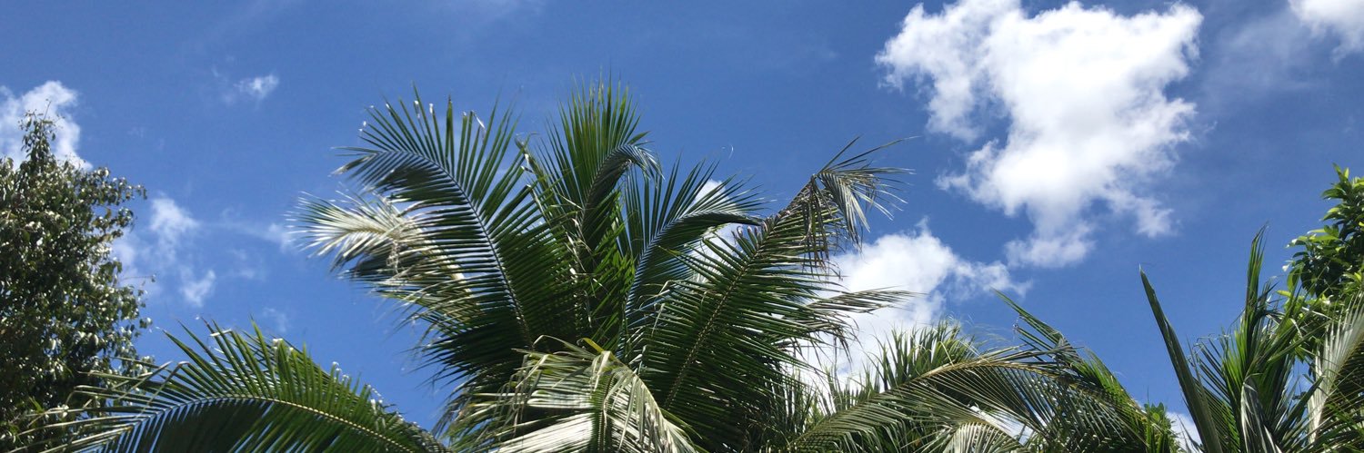 MonhtuyaD's profile banner image