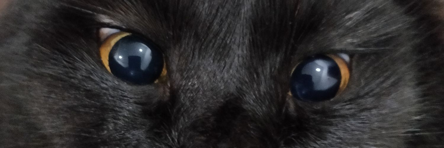 maelkhalid's profile banner image