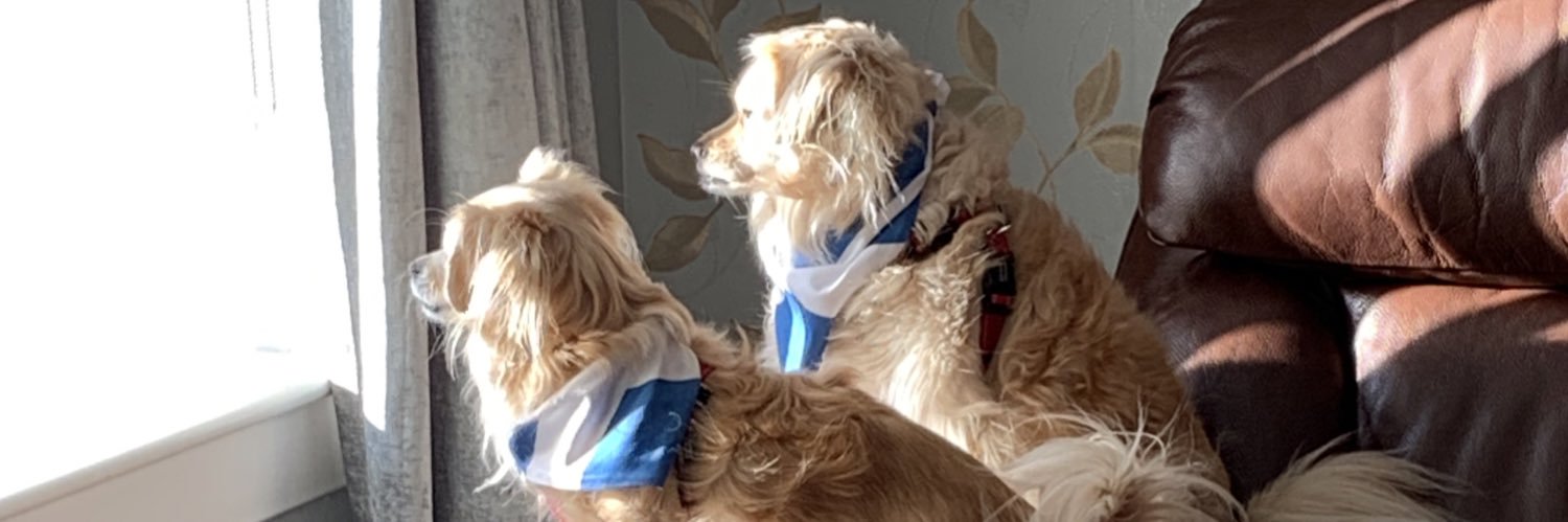 Jim Rodden #DissolveTheUnion ✌️FBSI banner