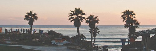 Brady_Wilson9's profile banner image