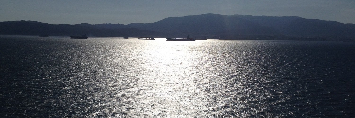 gillian evans banner