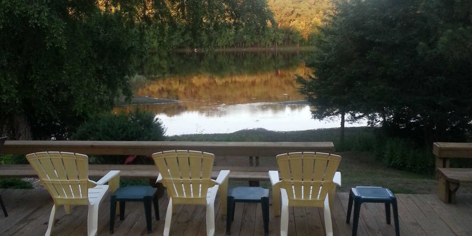 Tracey Freiberg banner