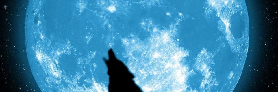 nobzoZ@RippletotheMoon banner