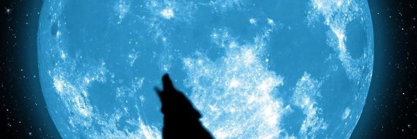 nobzoZ Profile Banner