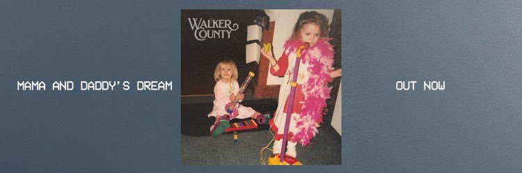 Walker County banner