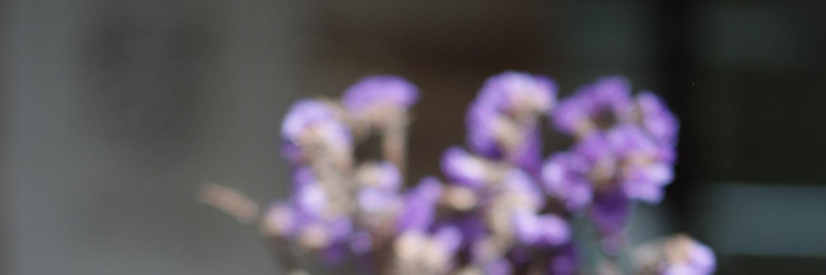 robiojunai's profile banner image