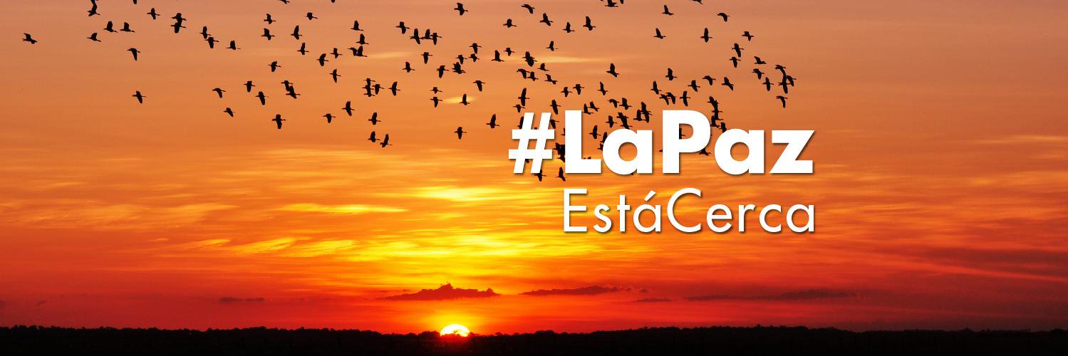 Consolidación T banner