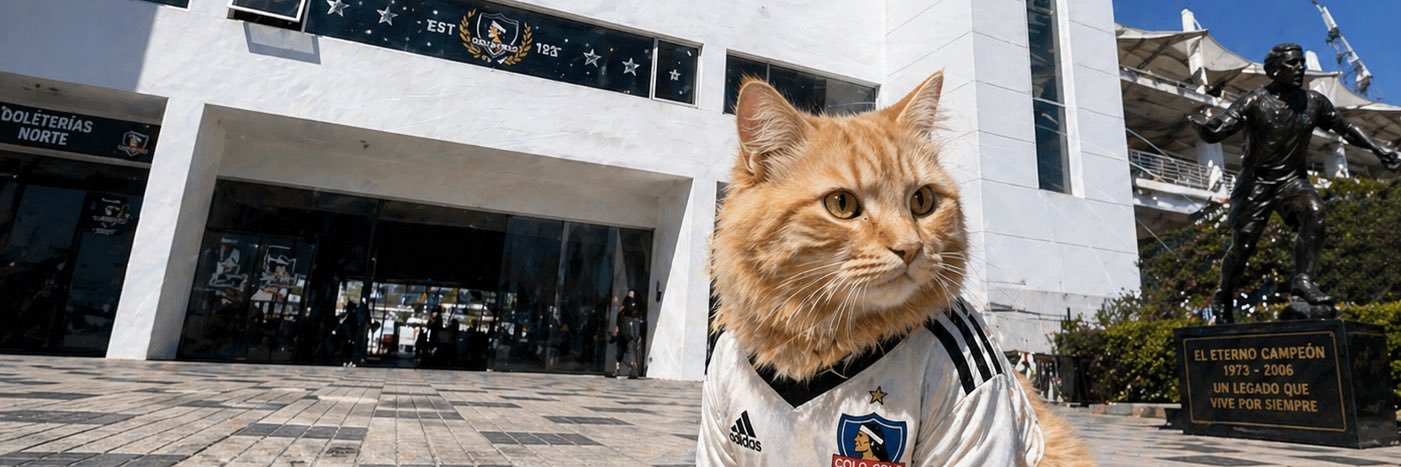 Michi Amarillo del Colo 🐱🤍 banner