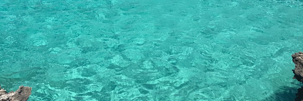 RParach's profile banner image