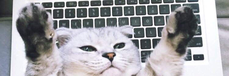 mrasks's profile banner image