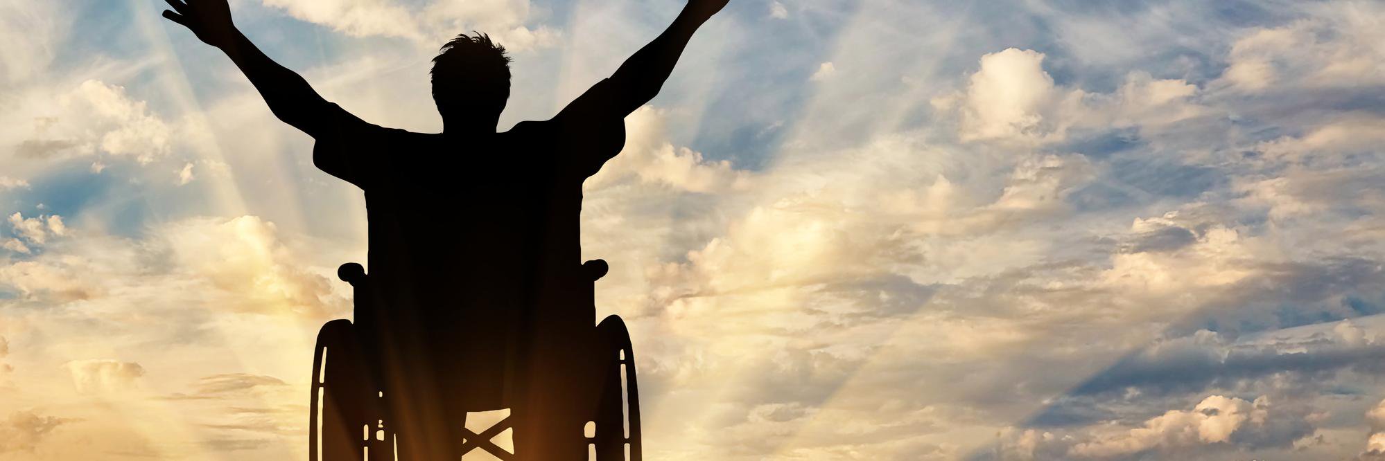 Access Advocates ♿ banner