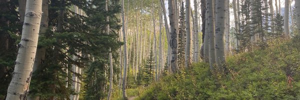 GeroHealth Profile Banner