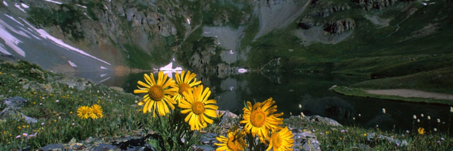 dale_marks's profile banner image