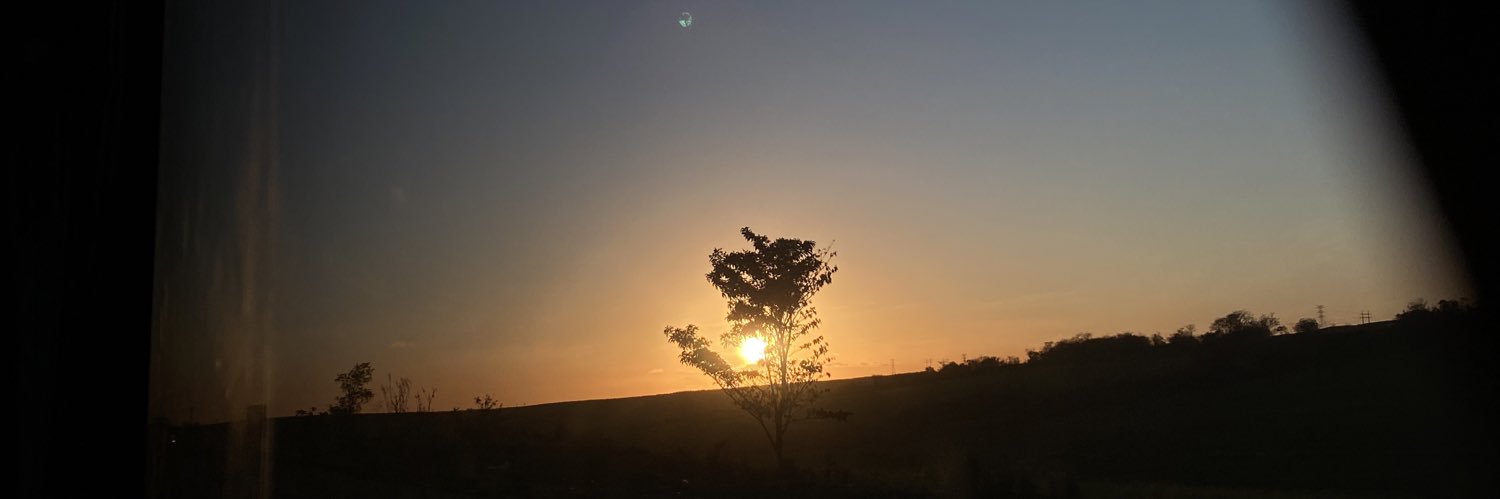 qformiguinha's profile banner image