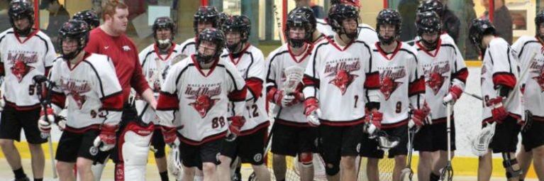 Wallaceburg Red Devils banner